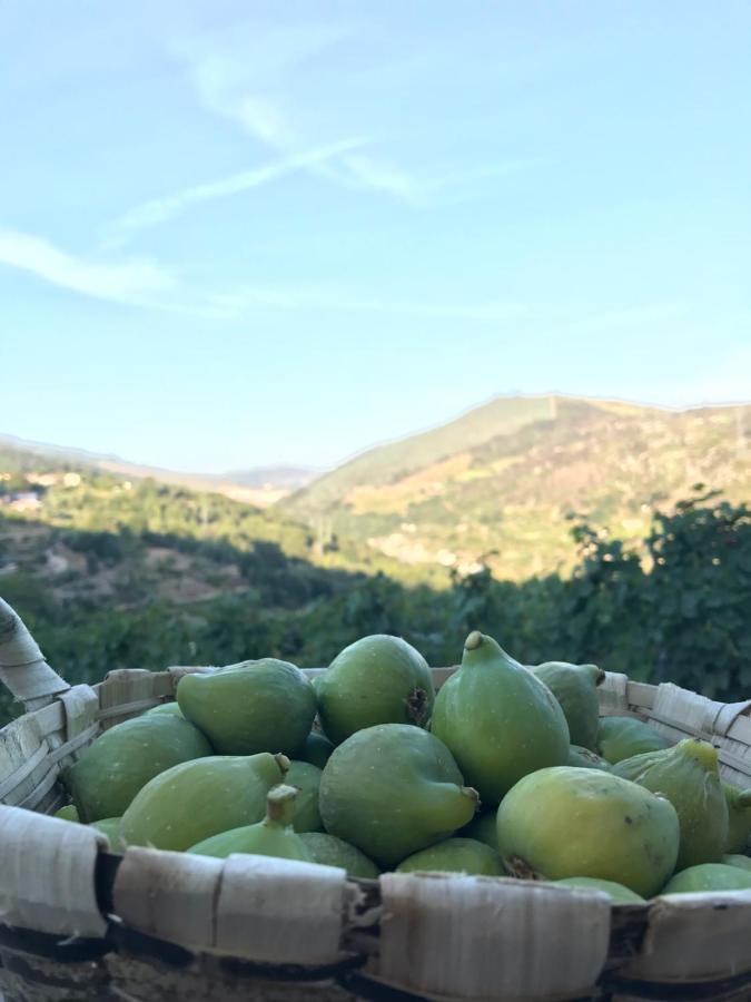 Private Douro- Quinta Das Susandas Mesao Frio Luaran gambar