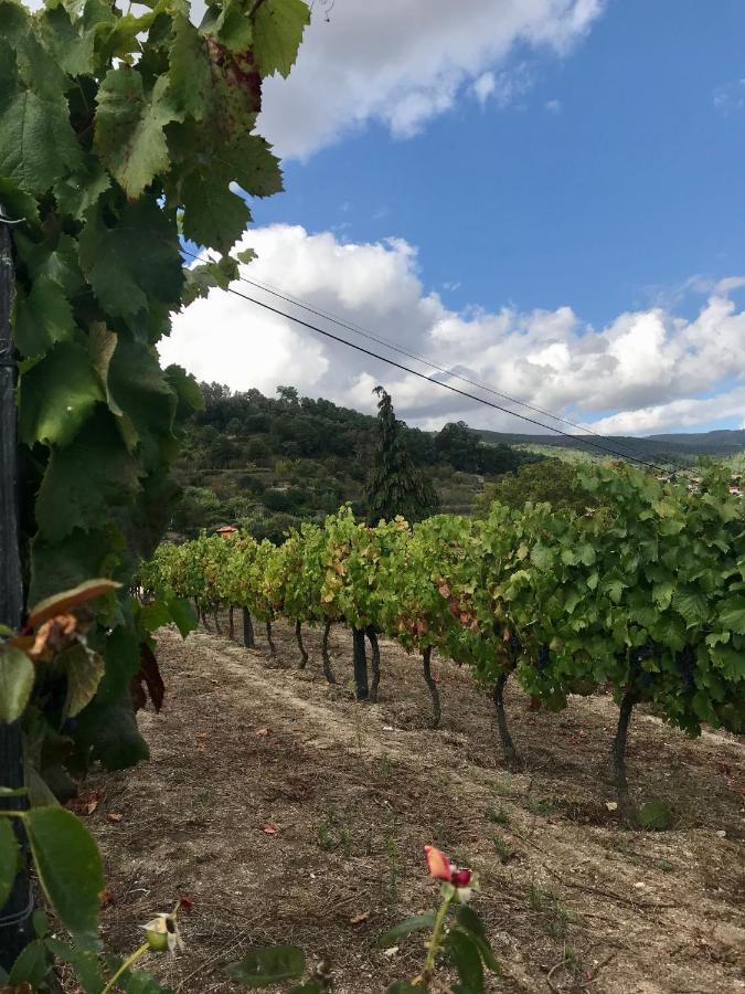 Private Douro- Quinta Das Susandas Mesao Frio Luaran gambar