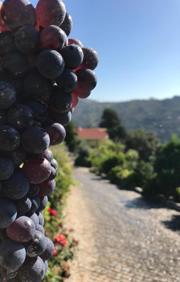 Private Douro- Quinta Das Susandas Mesao Frio Luaran gambar