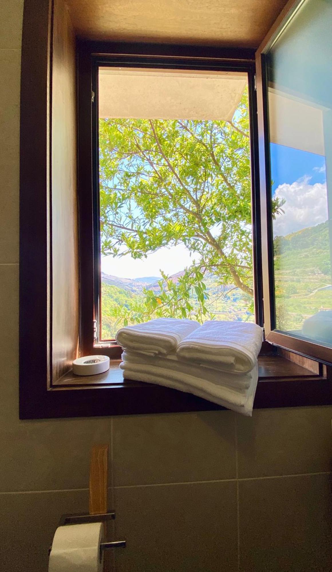Private Douro- Quinta Das Susandas Mesao Frio Bilik gambar